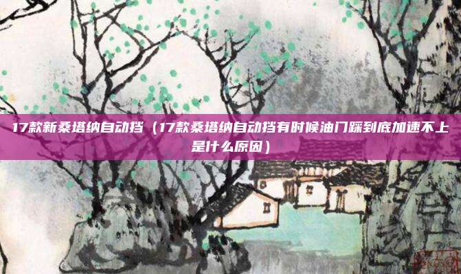 17款新桑塔纳自动挡(17款桑塔纳自动挡有时候油门踩到底加速不上是什么原因)