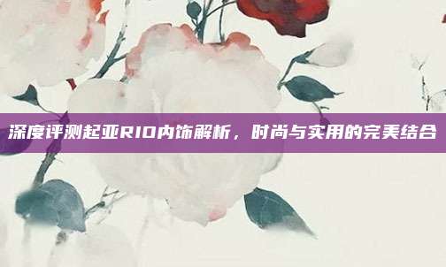 深度评测起亚RIO内饰解析,时尚与实用的完美结合