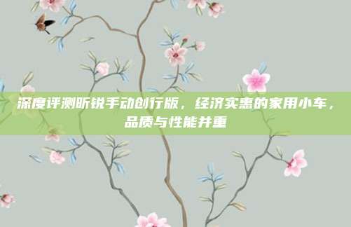 深度评测昕锐手动创行版,经济实惠的家用小车,品质与性能并重