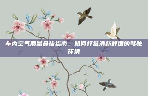 车内空气质量最佳指南,如何打造清新舒适的驾驶环境