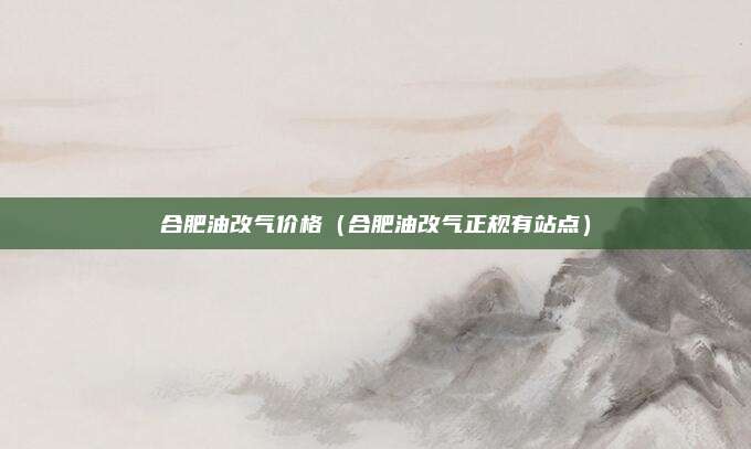 合肥油改气价格(合肥油改气正规有站点)