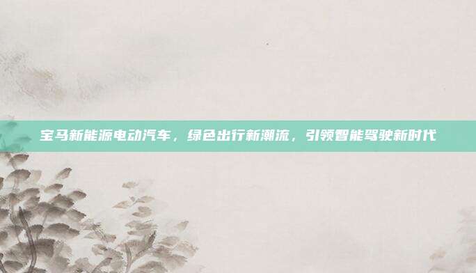 宝马新能源电动汽车，绿色出行新潮流，引领智能驾驶新时代