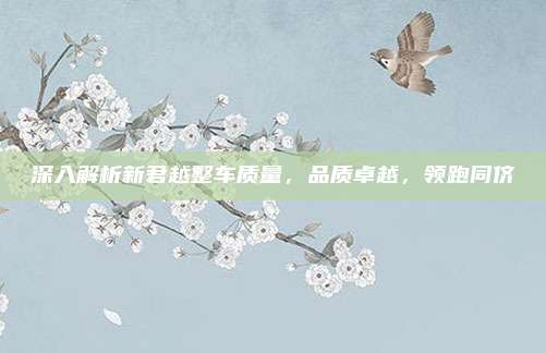 深入解析新君越整车质量,品质卓越,领跑同侪