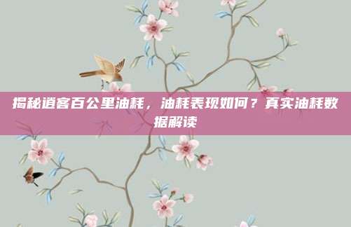 揭秘逍客百公里油耗,油耗表现如何?真实油耗数据解读