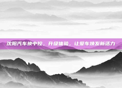 沈阳汽车换中控,升级体验,让爱车焕发新活力