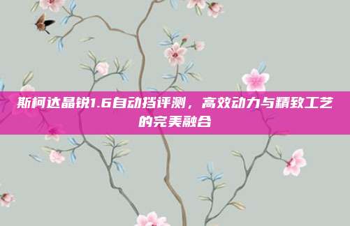 斯柯达晶锐1.6自动挡评测,高效动力与精致工艺的完美融合
