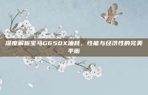 深度解析宝马G650X油耗,性能与经济性的完美平衡