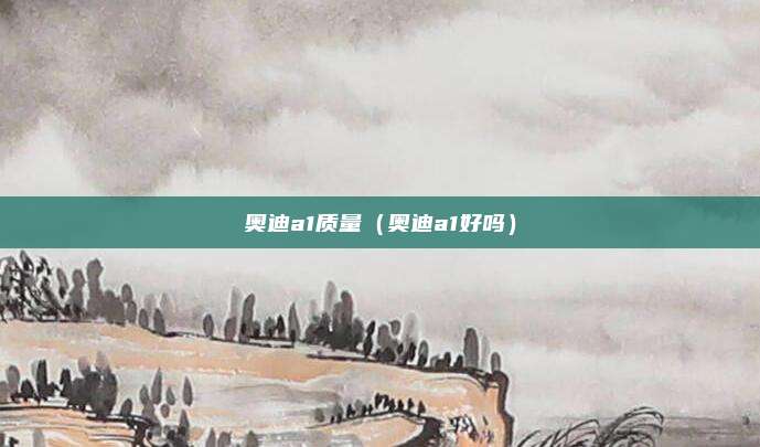 奥迪a1质量（奥迪a1好吗）