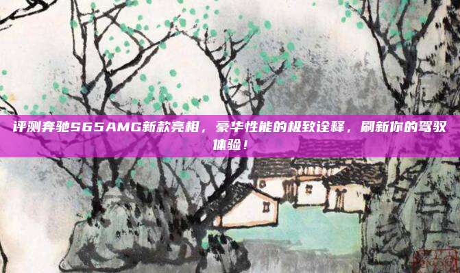 评测奔驰S65AMG新款亮相,豪华性能的极致诠释,刷新你的驾驭体验!