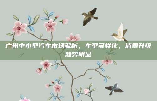 广州中小型汽车市场解析,车型多样化,消费升级趋势明显