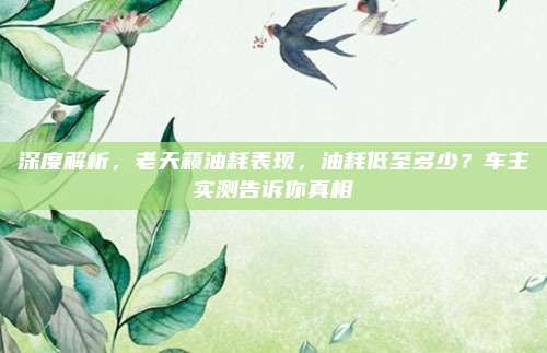 深度解析,老天籁油耗表现,油耗低至多少?车主实测告诉你真相