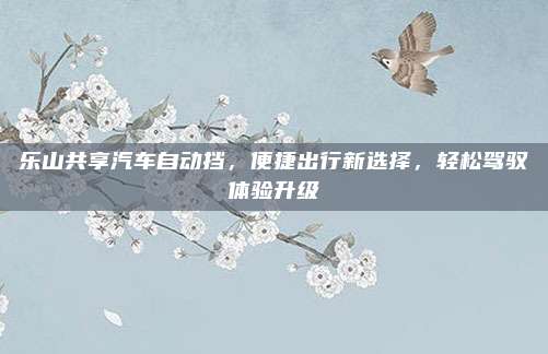 乐山共享汽车自动挡,便捷出行新选择,轻松驾驭体验升级