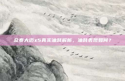 众泰大迈x5真实油耗解析,油耗表现如何?