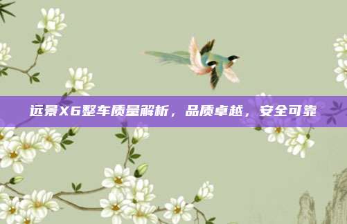 远景X6整车质量解析,品质卓越,安全可靠
