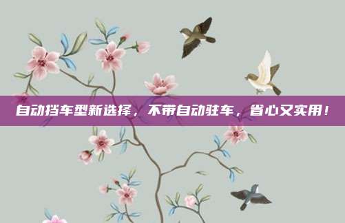 自动挡车型新选择,不带自动驻车,省心又实用!