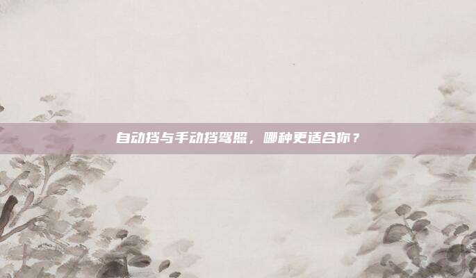 自动挡与手动挡驾照,哪种更适合你?