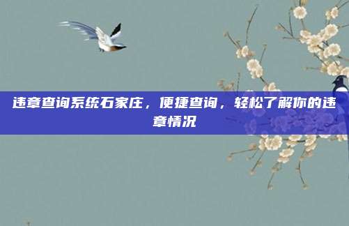 违章查询系统石家庄,便捷查询,轻松了解你的违章情况