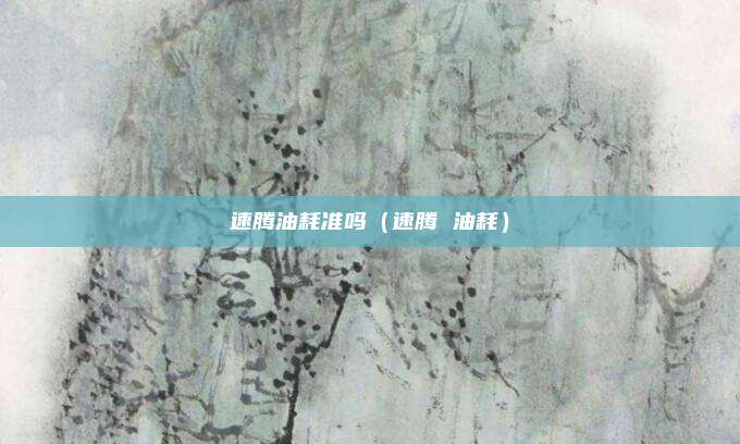 速腾油耗准吗（速腾 油耗）