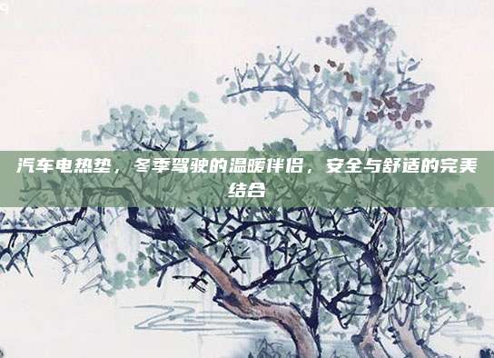 汽车电热垫,冬季驾驶的温暖伴侣,安全与舒适的完美结合