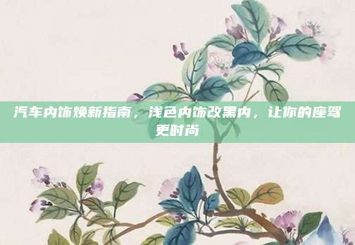 汽车内饰焕新指南,浅色内饰改黑内,让你的座驾更时尚