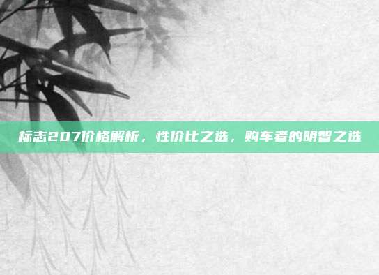 标志207价格解析,性价比之选,购车者的明智之选