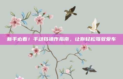 新手必看!手动挡操作指南,让你轻松驾驭爱车