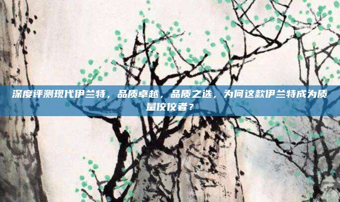 深度评测现代伊兰特,品质卓越,品质之选,为何这款伊兰特成为质量佼佼者?