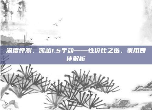 深度评测,凯越1.5手动——性价比之选,家用良伴解析