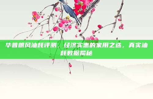 华普朗风油耗评测,经济实惠的家用之选,真实油耗数据揭秘