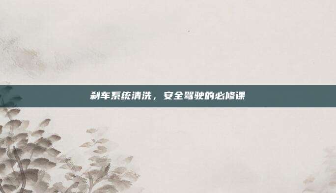刹车系统清洗,安全驾驶的必修课