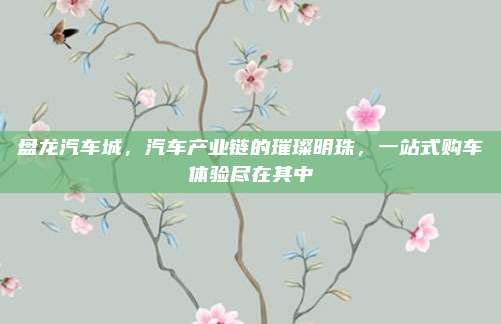 盘龙汽车城,汽车产业链的璀璨明珠,一站式购车体验尽在其中