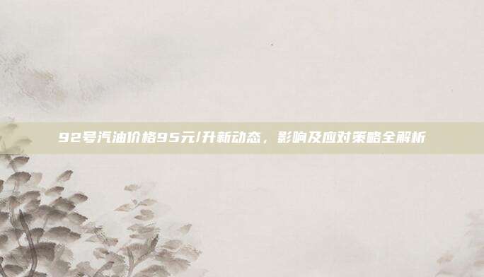 92号汽油价格95元/升新动态,影响及应对策略全解析