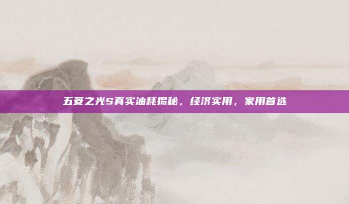 五菱之光S真实油耗揭秘,经济实用,家用首选