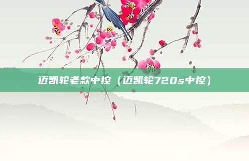 迈凯轮老款中控（迈凯轮720s中控）