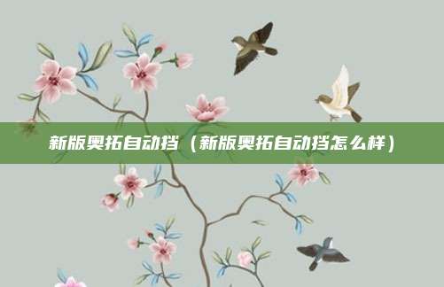新版奥拓自动挡（新版奥拓自动挡怎么样）