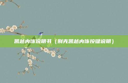 凯越内饰说明书（别克凯越内饰按键说明）