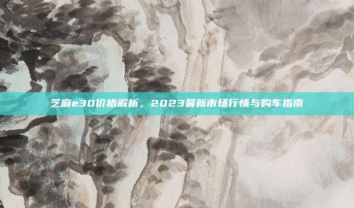 芝麻e30价格解析,2023最新市场行情与购车指南