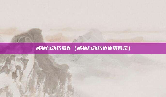 威驰自动挡操作（威驰自动档位使用图示）