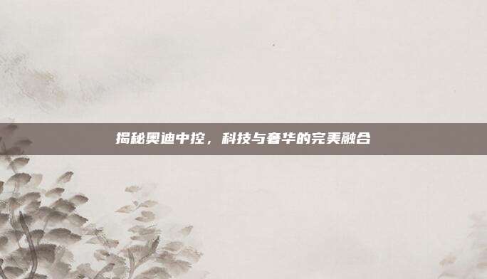 揭秘奥迪中控,科技与奢华的完美融合