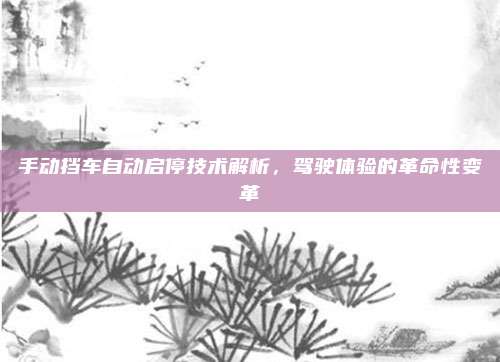 手动挡车自动启停技术解析,驾驶体验的革命性变革