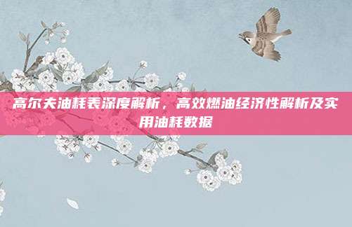 高尔夫油耗表深度解析,高效燃油经济性解析及实用油耗数据