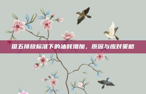 国五排放标准下的油耗增加,原因与应对策略