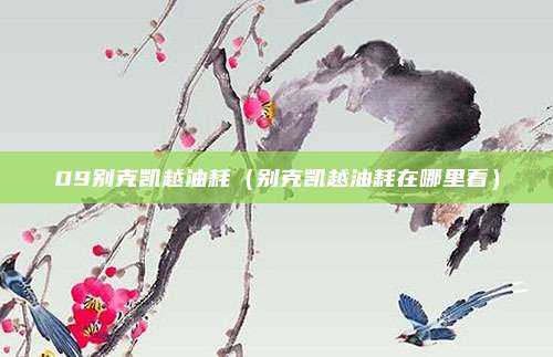 09别克凯越油耗（别克凯越油耗在哪里看）