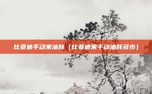 比亚迪手动宋油耗（比亚迪宋手动油耗多少）