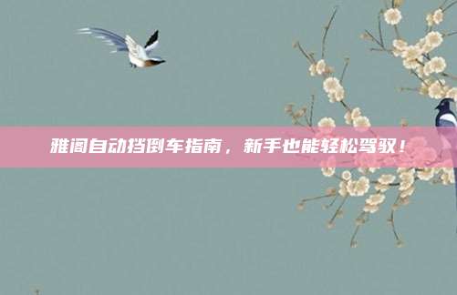 雅阁自动挡倒车指南,新手也能轻松驾驭!