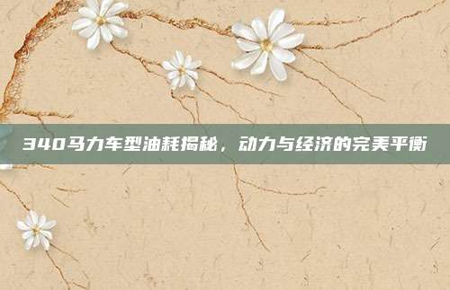 340马力车型油耗揭秘,动力与经济的完美平衡