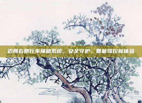 迈腾右侧行车辅助系统,安全守护,智能驾控新体验