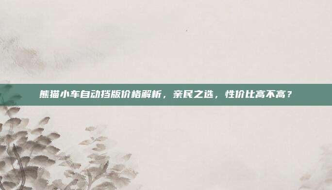 熊猫小车自动挡版价格解析,亲民之选,性价比高不高?