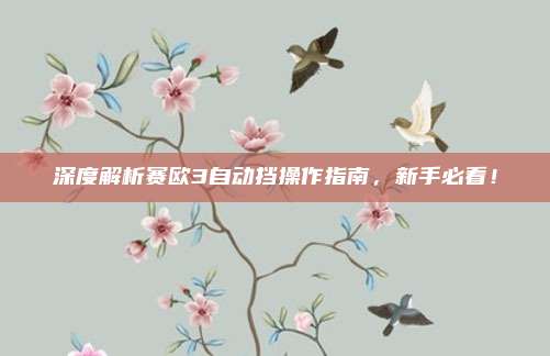深度解析赛欧3自动挡操作指南,新手必看!