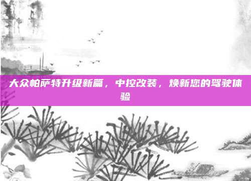 大众帕萨特升级新篇,中控改装,焕新您的驾驶体验